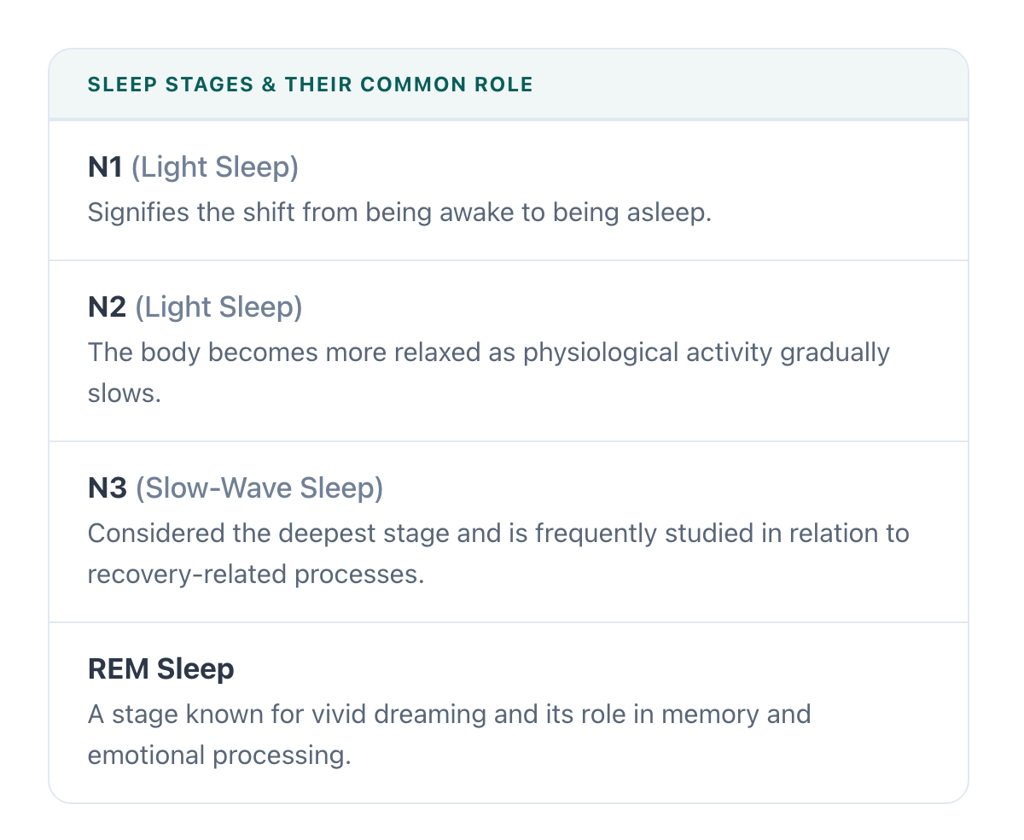 Sleep Stages and Their Common Role