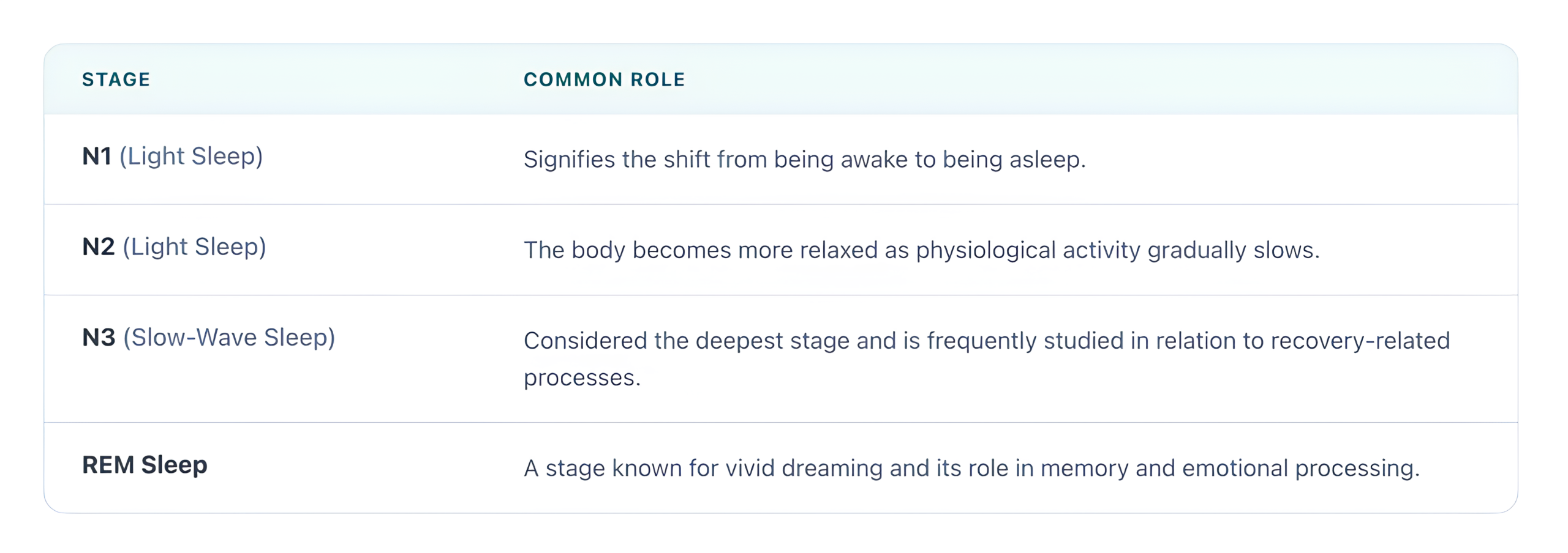 Sleep Stages and Their Common Role